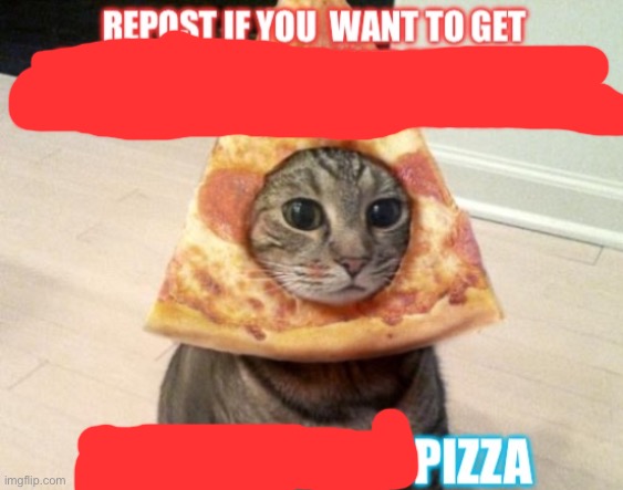 Repost if you want to get railed by a dominant femboy | image tagged in repost if you want to get railed by a dominant femboy | made w/ Imgflip meme maker