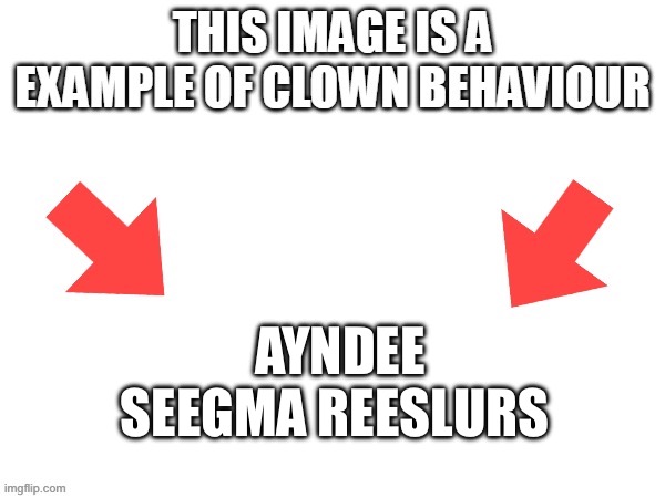 This image is a example of clown behaviour | AYNDEE SEEGMA REESLURS | image tagged in this image is a example of clown behaviour | made w/ Imgflip meme maker