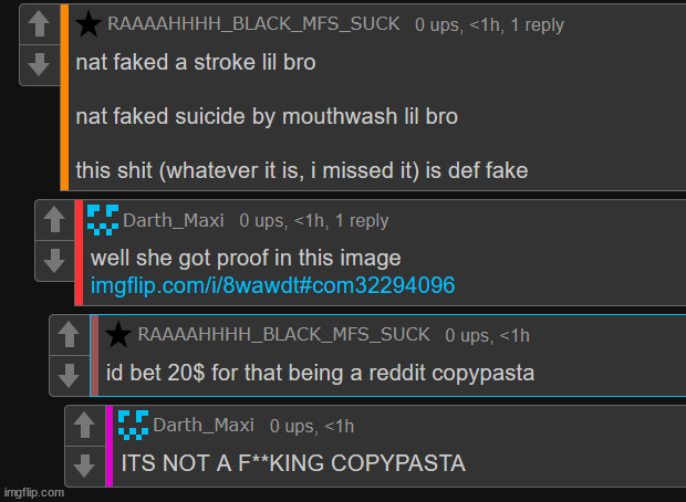this b**ch says my actual proof of it not being a fake is a REDDIT COPYPASTA | made w/ Imgflip meme maker