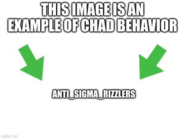 This image is an example of chad behavior | ANTI_SIGMA_RIZZLERS | image tagged in this image is an example of chad behavior | made w/ Imgflip meme maker