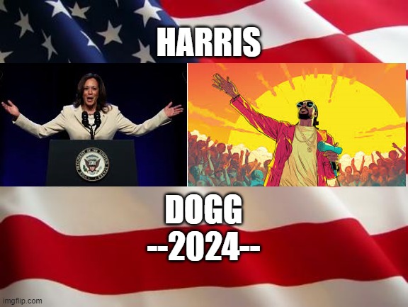 American flag | HARRIS; DOGG

--2024-- | image tagged in american flag,2024,joe biden,kamala harris,snoop dogg,president | made w/ Imgflip meme maker