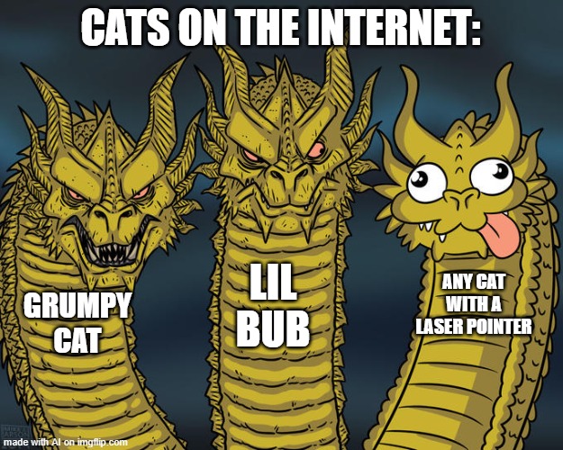 bruh moment | CATS ON THE INTERNET:; LIL BUB; ANY CAT WITH A LASER POINTER; GRUMPY CAT | image tagged in three-headed dragon,cat,cats,memes,funny,meow | made w/ Imgflip meme maker