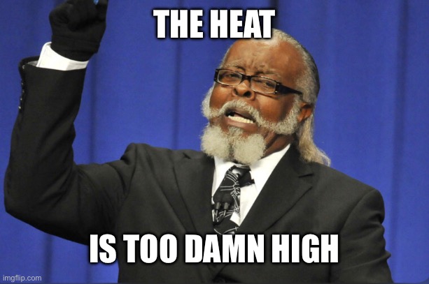 Too hot | THE HEAT; IS TOO DAMN HIGH | image tagged in heat,hot,hell,temperature,scorching,summer | made w/ Imgflip meme maker