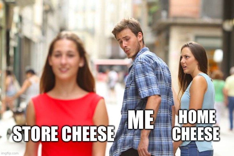 Cheese!!! | HOME CHEESE; ME; STORE CHEESE | image tagged in distracted boyfriend,cheese,cheese time,shopping,yummy | made w/ Imgflip meme maker