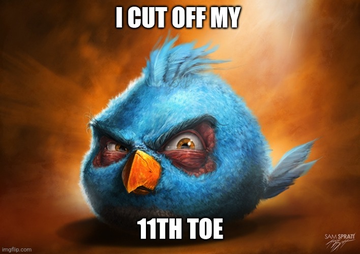 angry birds blue | I CUT OFF MY; 11TH TOE | image tagged in angry birds blue | made w/ Imgflip meme maker