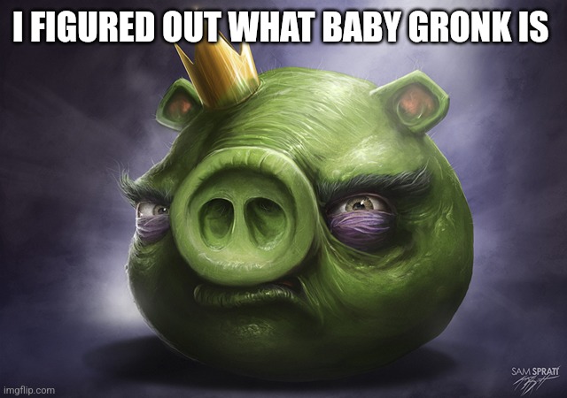 Hmmm | I FIGURED OUT WHAT BABY GRONK IS | image tagged in angry birds realistic king pig | made w/ Imgflip meme maker