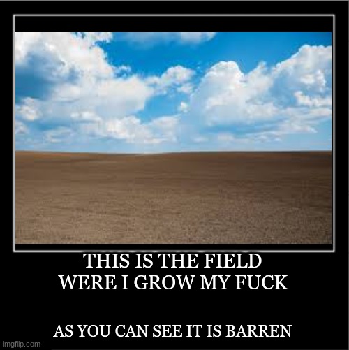 Demotivational poster | THIS IS THE FIELD WERE I GROW MY FUCK; AS YOU CAN SEE IT IS BARREN | image tagged in demotivational poster | made w/ Imgflip meme maker