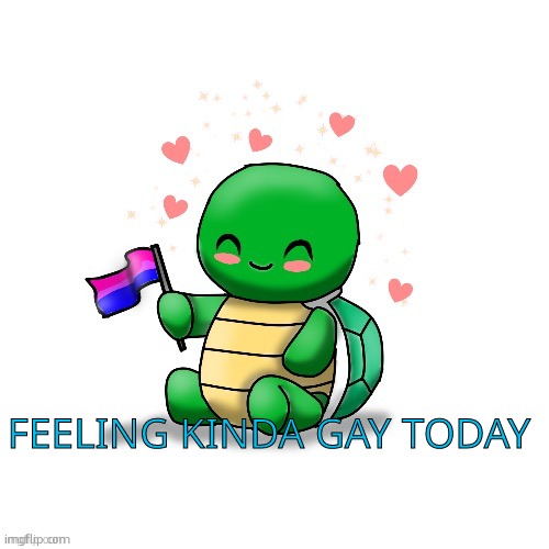 TDYM bi turtle | FEELING KINDA GAY TODAY | image tagged in tdym bi turtle | made w/ Imgflip meme maker