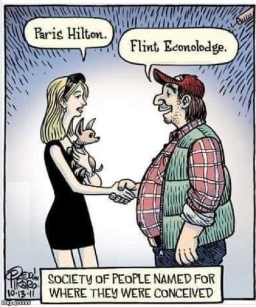 Hail Cartoonist Dan Piraro: you bring imagination to life | image tagged in vince vance,bizarro,cartoons,paris hilton,flint michigan,motel | made w/ Imgflip meme maker