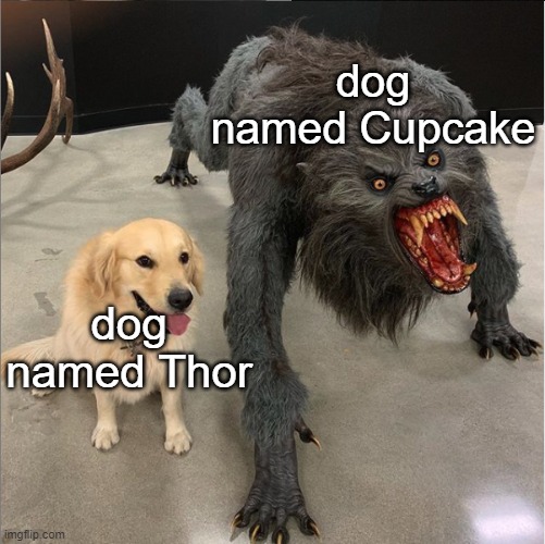 I left the title in my other pants | dog named Cupcake; dog named Thor | image tagged in dog vs werewolf | made w/ Imgflip meme maker