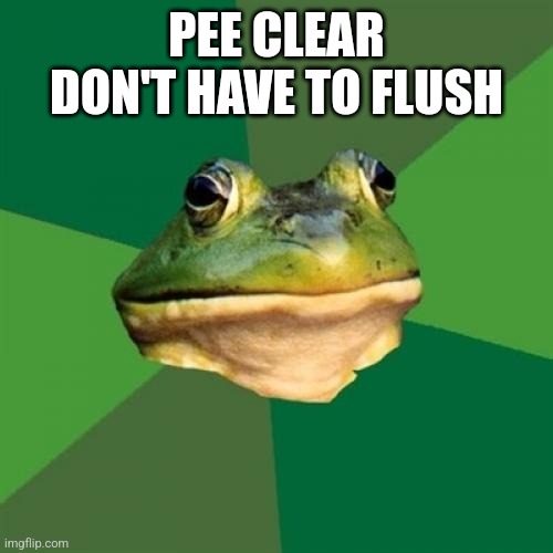 Remember when memes were like this | PEE CLEAR DON'T HAVE TO FLUSH | image tagged in memes,foul bachelor frog | made w/ Imgflip meme maker