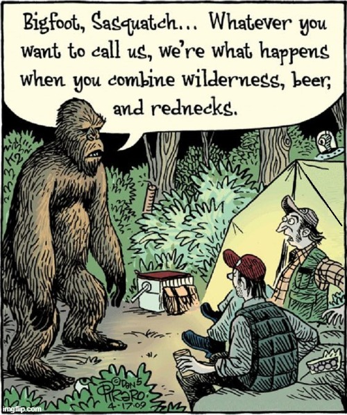 Campers Beware! | image tagged in vince vance,big foot,campers,sasquatch,cartoons,bizarro | made w/ Imgflip meme maker