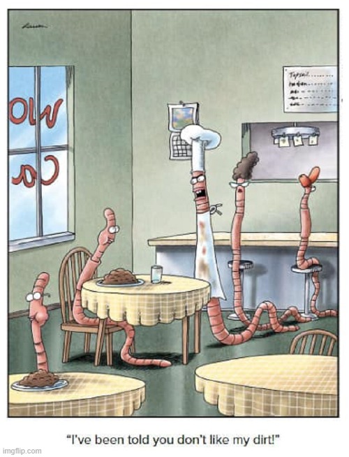 "Delicious Dirt Does goes Down DIrty." —Chef Wormwood Worm | image tagged in vince vance,worms,cafe,waitress,dirt,the far side | made w/ Imgflip meme maker