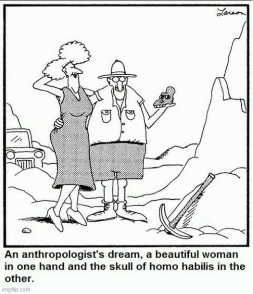 A New Meaning for Homo Erectus | image tagged in vince vance,cartoons,the far side,homo sapien,beautiful woman,anthropology | made w/ Imgflip meme maker