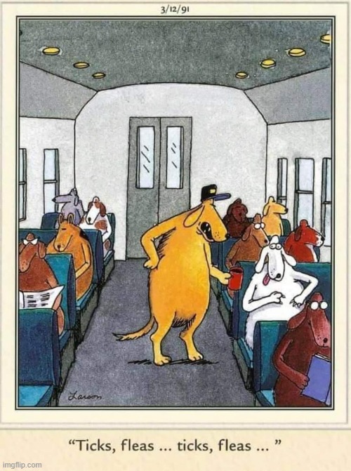 He collects 'em so the don't jump on other passengers | image tagged in vince vance,farside,cartoons,dogs,ticks,fleas | made w/ Imgflip meme maker
