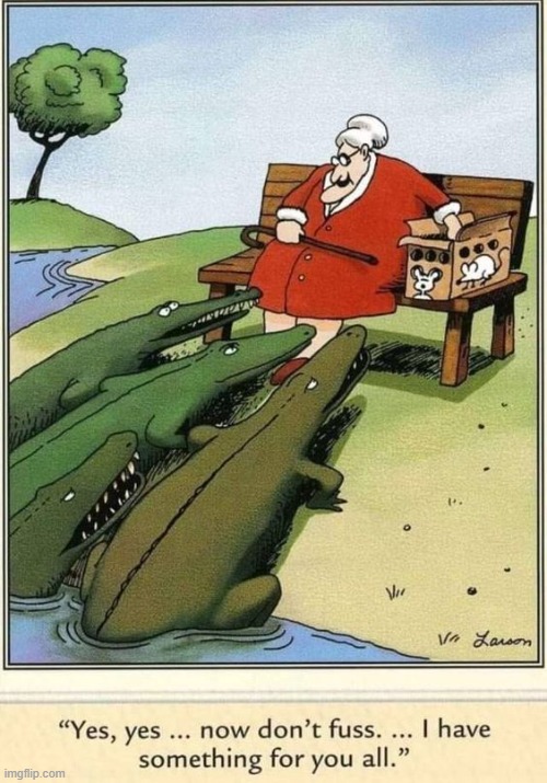 Ethel's last day feeding her beloved gators | image tagged in vince vance,alligators,old lady,feeding time,park bench,cartoons | made w/ Imgflip meme maker