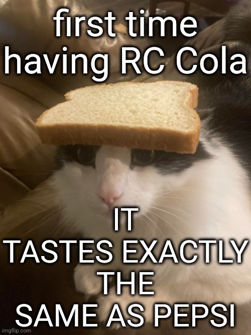 bread cat | first time having RC Cola; IT TASTES EXACTLY THE SAME AS PEPSI | image tagged in bread cat | made w/ Imgflip meme maker