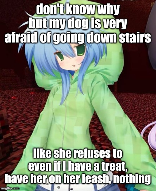 yeahg | don't know why but my dog is very afraid of going down stairs; like she refuses to even if I have a treat, have her on her leash, nothing | image tagged in yeahg | made w/ Imgflip meme maker