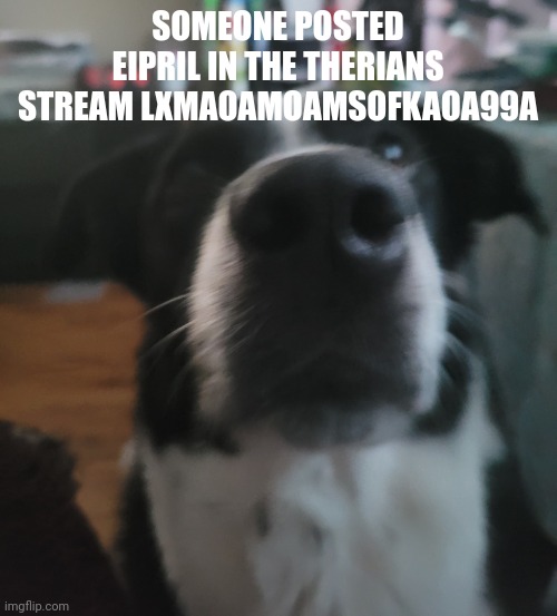 tweaks dock | SOMEONE POSTED EIPRIL IN THE THERIANS STREAM LXMAOAMOAMSOFKAOA99A | image tagged in tweaks dock | made w/ Imgflip meme maker