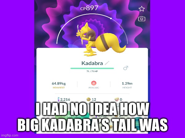 Seriously though | I HAD NO IDEA HOW BIG KADABRA’S TAIL WAS | image tagged in please,no judgment | made w/ Imgflip meme maker