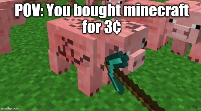 Cursed Pig | POV: You bought minecraft
for 3¢ | image tagged in cursed pig | made w/ Imgflip meme maker