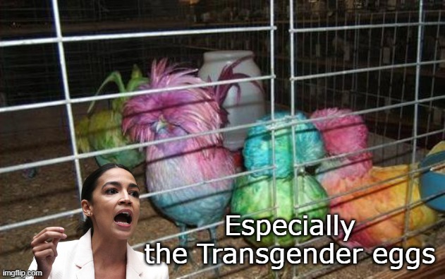 Especially the Transgender eggs | made w/ Imgflip meme maker