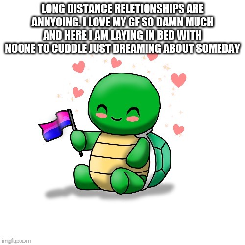 TDYM bi turtle | LONG DISTANCE RELETIONSHIPS ARE ANNYOING. I LOVE MY GF SO DAMN MUCH AND HERE I AM LAYING IN BED WITH NOONE TO CUDDLE JUST DREAMING ABOUT SOMEDAY | image tagged in tdym bi turtle | made w/ Imgflip meme maker