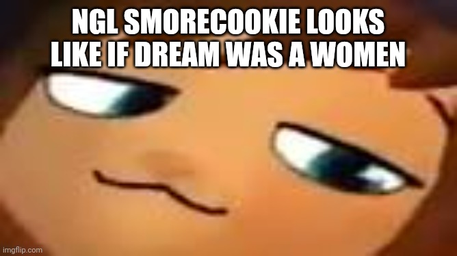 smug hat kid.mp4 | NGL SMORECOOKIE LOOKS LIKE IF DREAM WAS A WOMEN | image tagged in smug hat kid mp4 | made w/ Imgflip meme maker