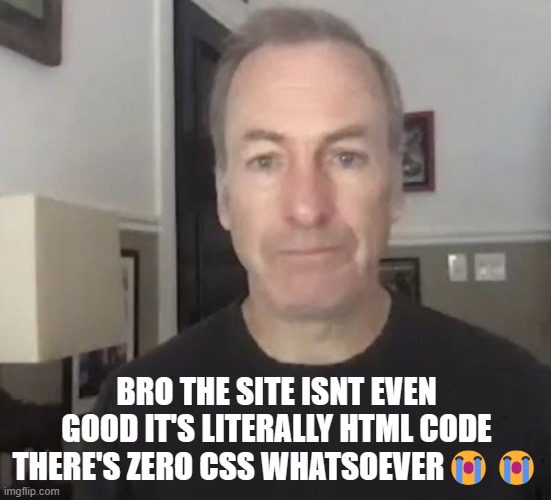 maybe since most old websites never rlly used much of css ig | BRO THE SITE ISNT EVEN GOOD IT'S LITERALLY HTML CODE THERE'S ZERO CSS WHATSOEVER😭😭 | image tagged in erm okay | made w/ Imgflip meme maker