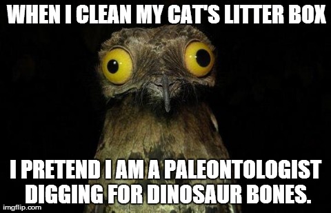 Weird Stuff I Do Potoo Meme | WHEN I CLEAN MY CAT'S LITTER BOX I PRETEND I AM A PALEONTOLOGIST DIGGING FOR DINOSAUR BONES. | image tagged in memes,weird stuff i do potoo,AdviceAnimals | made w/ Imgflip meme maker