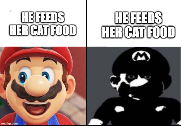 Happy mario Vs Dark Mario | HE FEEDS HER CAT FOOD; HE FEEDS HER CAT FOOD | image tagged in happy mario vs dark mario | made w/ Imgflip meme maker
