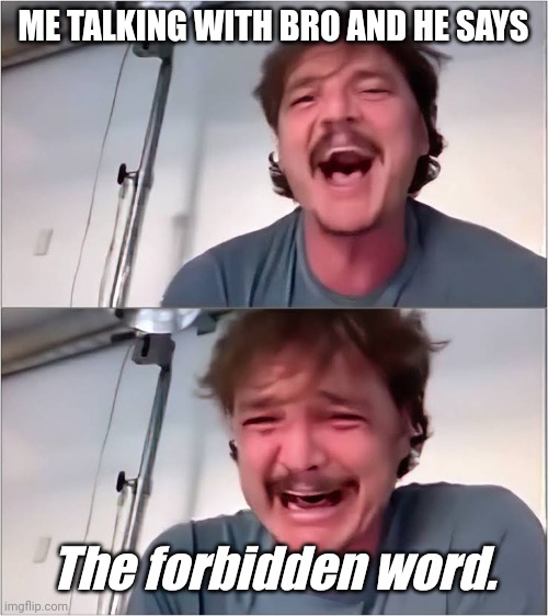 Pedro Pascal | ME TALKING WITH BRO AND HE SAYS The forbidden word. | image tagged in pedro pascal | made w/ Imgflip meme maker