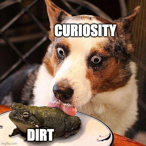 dog licking a frog | CURIOSITY; DIRT | image tagged in dog licking a frog | made w/ Imgflip meme maker