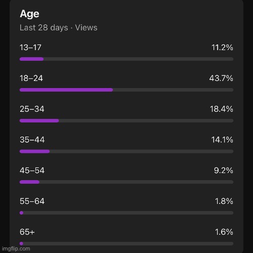 who the hell is watching me at 65+ | made w/ Imgflip meme maker