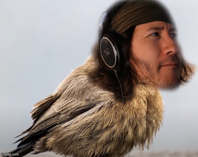 birdiplier | image tagged in birdiplier | made w/ Imgflip meme maker