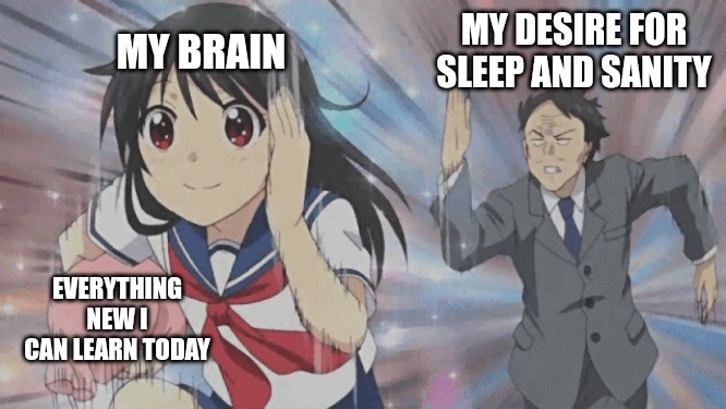 My desire to learn outpacing my need for sleep & sanity | MY BRAIN; MY DESIRE FOR SLEEP AND SANITY; EVERYTHING NEW I CAN LEARN TODAY | image tagged in adhd,insomnia | made w/ Imgflip meme maker