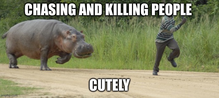 Hippo Chasing Man | CHASING AND KILLING PEOPLE CUTELY | image tagged in hippo chasing man | made w/ Imgflip meme maker