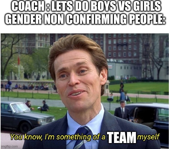 A Non binary meme | COACH : LETS DO BOYS VS GIRLS
GENDER NON CONFIRMING PEOPLE:; TEAM | image tagged in you know i'm something of a _ myself | made w/ Imgflip meme maker