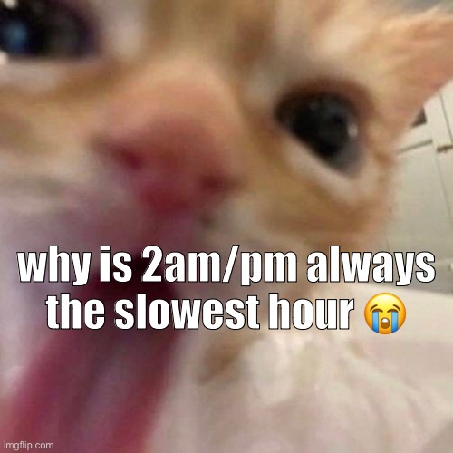 bleh | why is 2am/pm always the slowest hour 😭 | image tagged in bleh | made w/ Imgflip meme maker