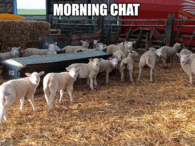 MORNING CHAT | made w/ Imgflip meme maker