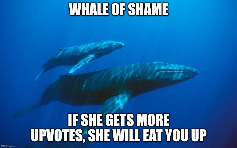 Baby Blue Whale | WHALE OF SHAME; IF SHE GETS MORE UPVOTES, SHE WILL EAT YOU UP | image tagged in baby blue whale | made w/ Imgflip meme maker