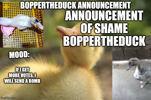 ANNOUNCEMENT OF SHAME
BOPPERTHEDUCK; IF I GET MORE VOTES, I WILL SEND A BOMB | image tagged in boppertheduck announcement | made w/ Imgflip meme maker