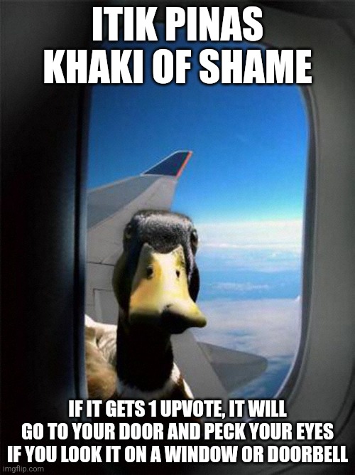 Airplane Duck | ITIK PINAS KHAKI OF SHAME; IF IT GETS 1 UPVOTE, IT WILL GO TO YOUR DOOR AND PECK YOUR EYES IF YOU LOOK IT ON A WINDOW OR DOORBELL | image tagged in airplane duck | made w/ Imgflip meme maker