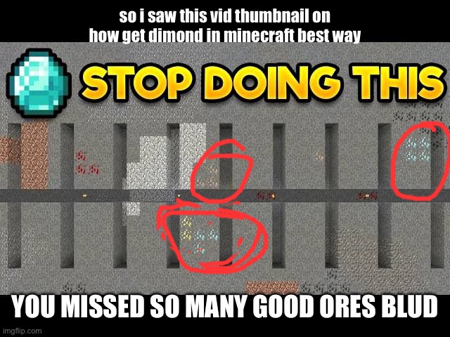 bro wtf | so i saw this vid thumbnail on how get dimond in minecraft best way; YOU MISSED SO MANY GOOD ORES BLUD | image tagged in minecraft | made w/ Imgflip meme maker