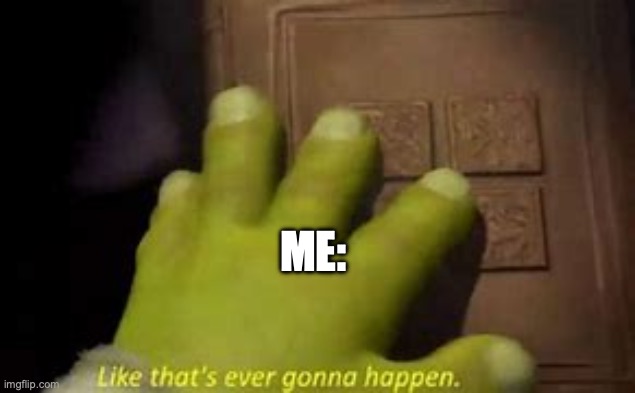 me to blu3.’s comments: | ME: | image tagged in like that's ever gonna happen | made w/ Imgflip meme maker