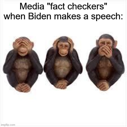 See no Evil Hear no Evil Speak no Evil | Media "fact checkers" when Biden makes a speech: | image tagged in see no evil hear no evil speak no evil | made w/ Imgflip meme maker