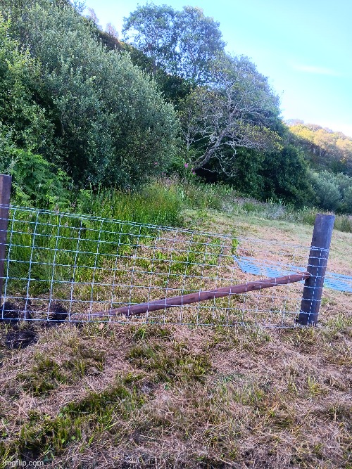 Fencing today | made w/ Imgflip meme maker