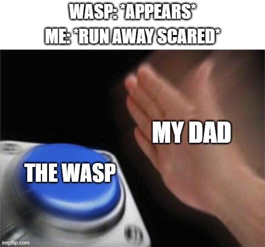 why are dads always this badass?? | WASP: *APPEARS*; ME: *RUN AWAY SCARED*; MY DAD; THE WASP | image tagged in memes,blank nut button,wasp,dad,funny,dank memes | made w/ Imgflip meme maker