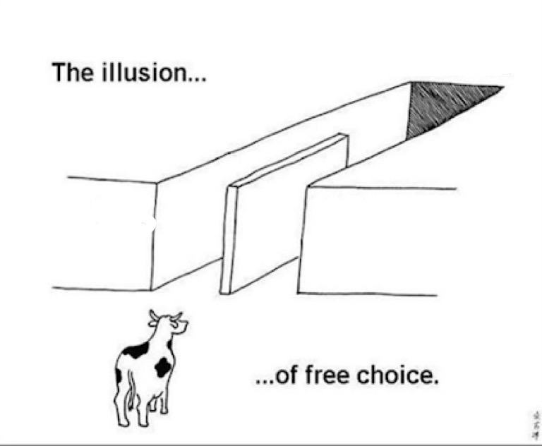 The illusion of free choice Blank Meme Template