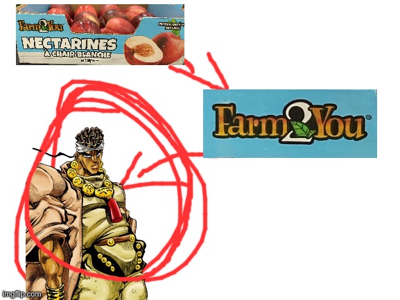 Guys. Fruit is a jojo reference confirmed! | image tagged in jojo's bizarre adventure | made w/ Imgflip meme maker